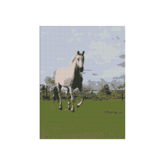Horse on the Run Diamond Painting Kit